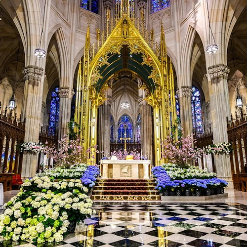 Catedral de São Patrício: tour VIP - Photo 8