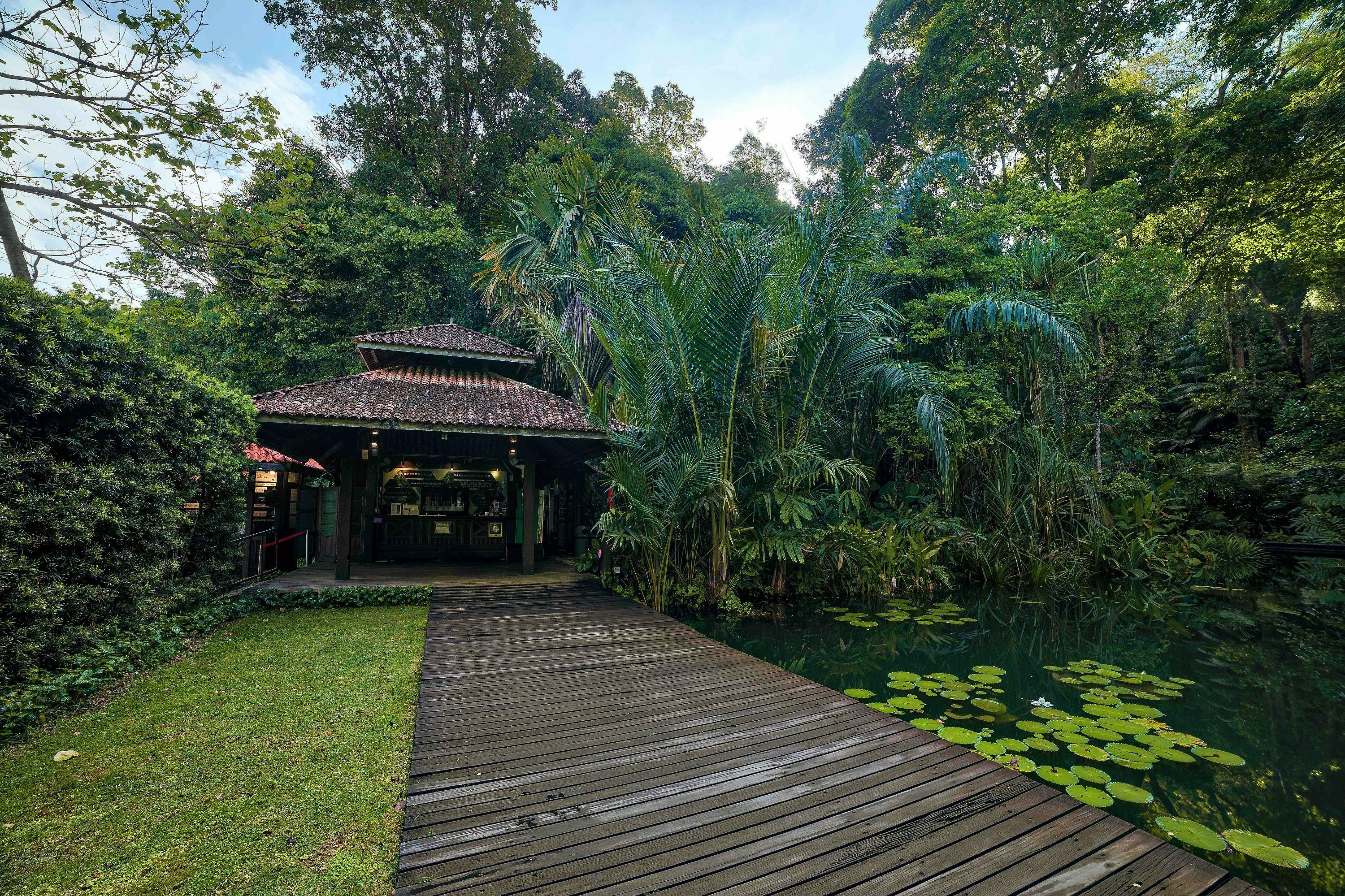 A wooden boardwalk leading to a rustic pavilion surrounded by lush greenery and a pond with lily pads.