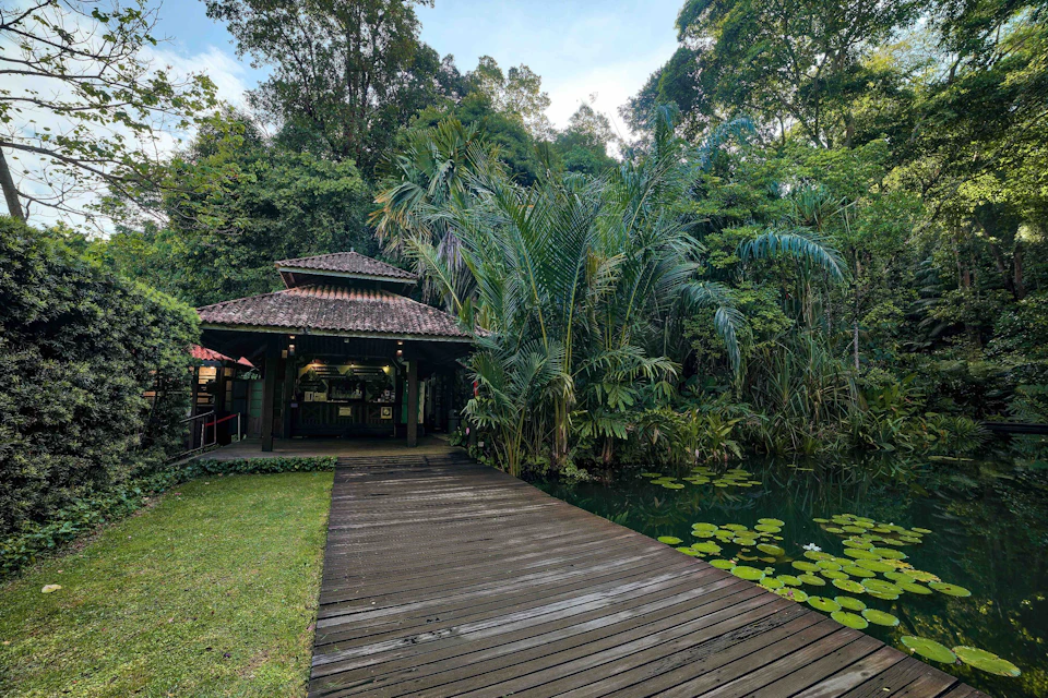 A wooden boardwalk leading to a rustic pavilion surrounded by lush greenery and a pond with lily pads.