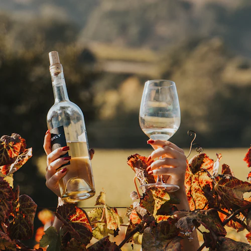 Napa & Sonoma: Guided Wine Tour from San Francisco - Photo 3