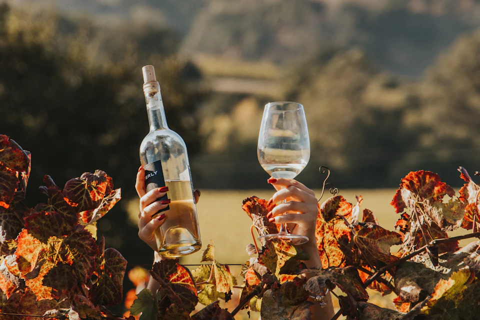 Hands holding a wine bottle and glass above autumn leaves, with a blurred vineyard background.