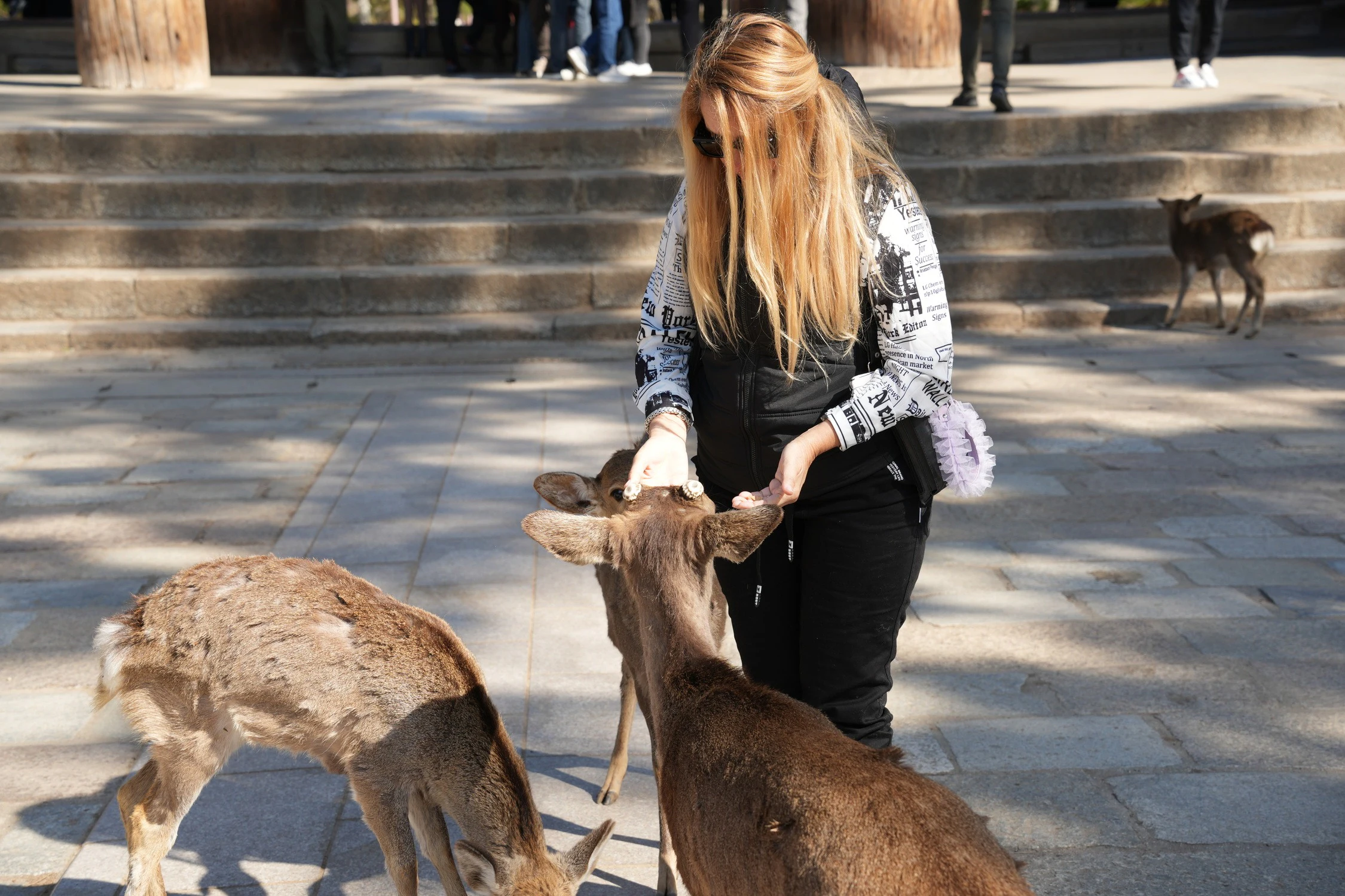 Himeji Castle, Kobe Chinatown & Nara Park: Small Group Guided Tour from Osaka