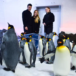 SEA LIFE Melbourne: Penguin Passport Experience 2