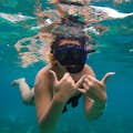 Practica snorkel y descubre un paraíso submarino con peces y corales de colores.