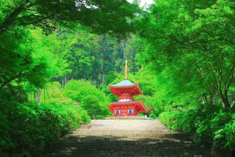 A red pagoda surrounded by lush green trees, viewed from the base of a stone staircase.