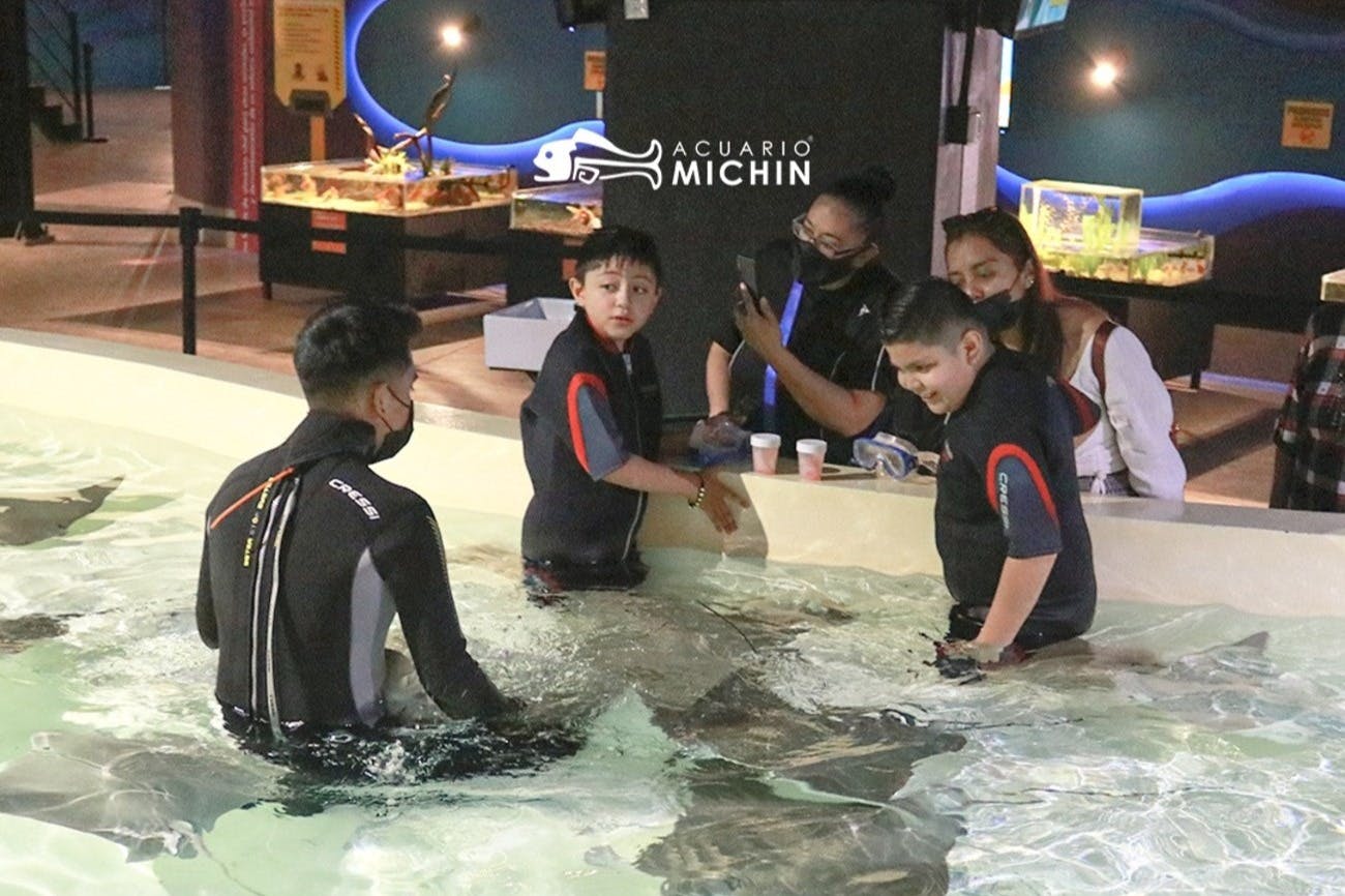 Michin Aquarium Puebla