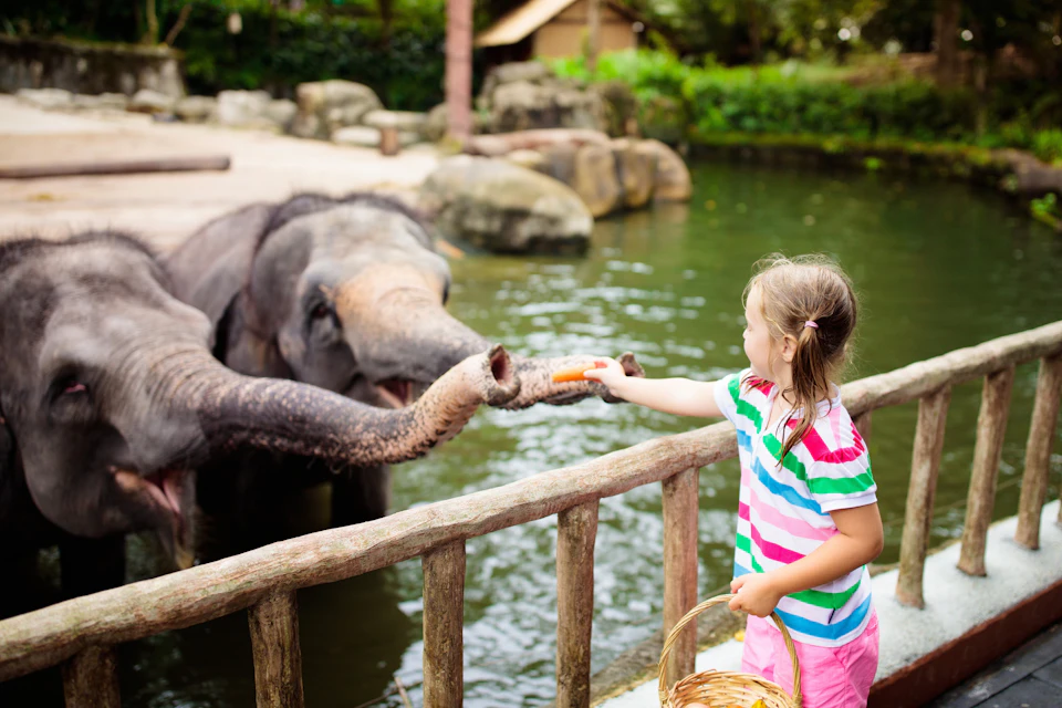 Zoo