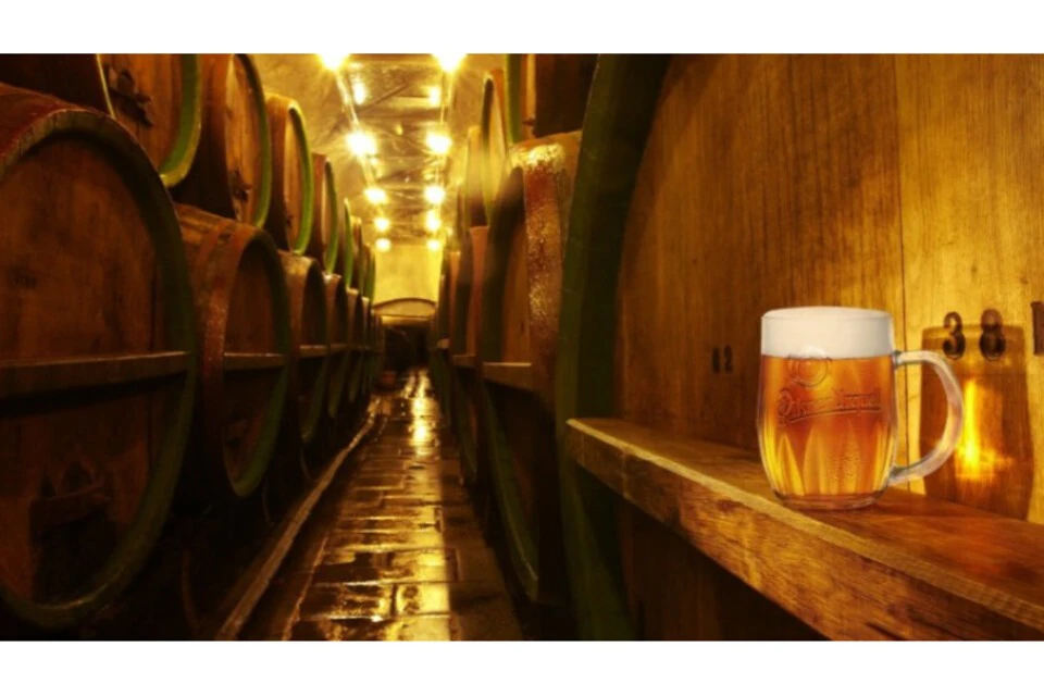 Beer tour