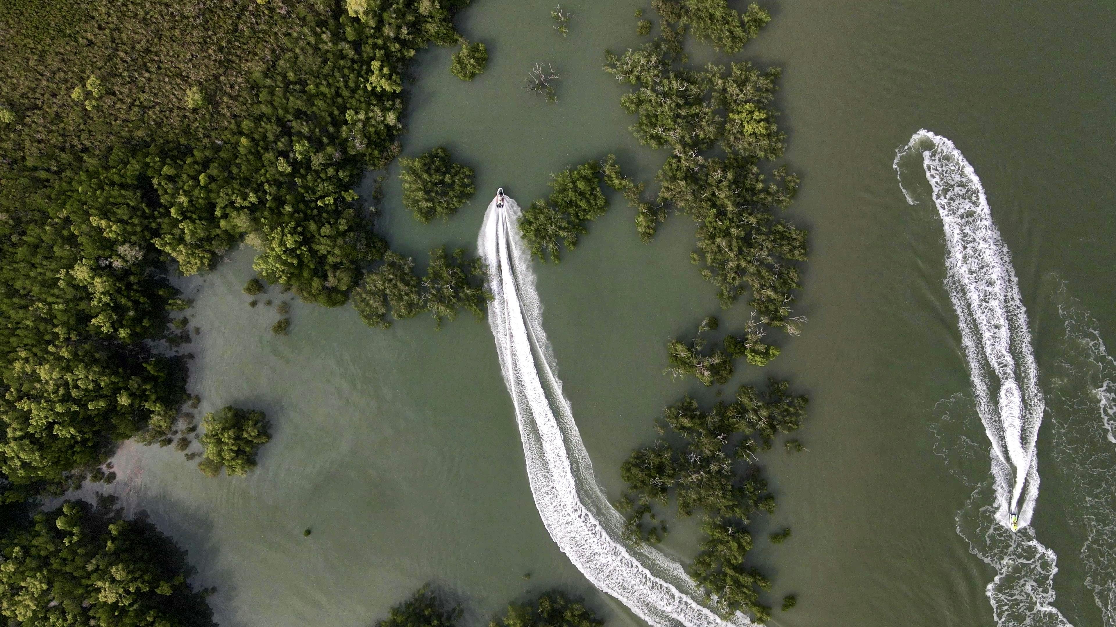 一艘船在茂密的红树林群环绕的绿色水域中航行，形成尾迹的鸟瞰图。