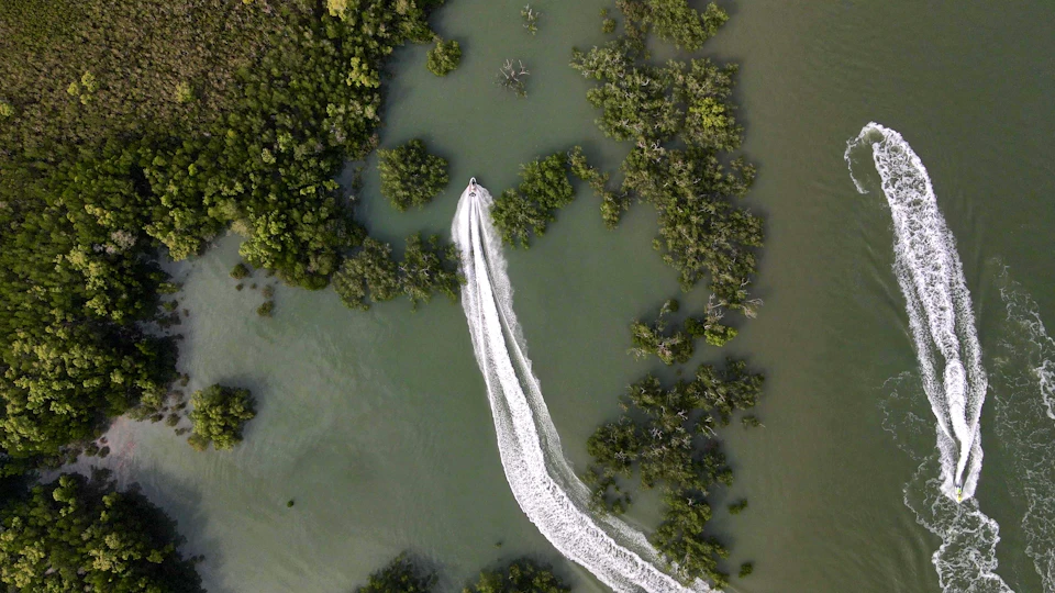 Aerial view of a boat creating a wake as it navigates through greenish water surrounded by dense clusters of mangroves.