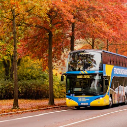 1-Day Hop-on Hop-off Bus Leipzig 4