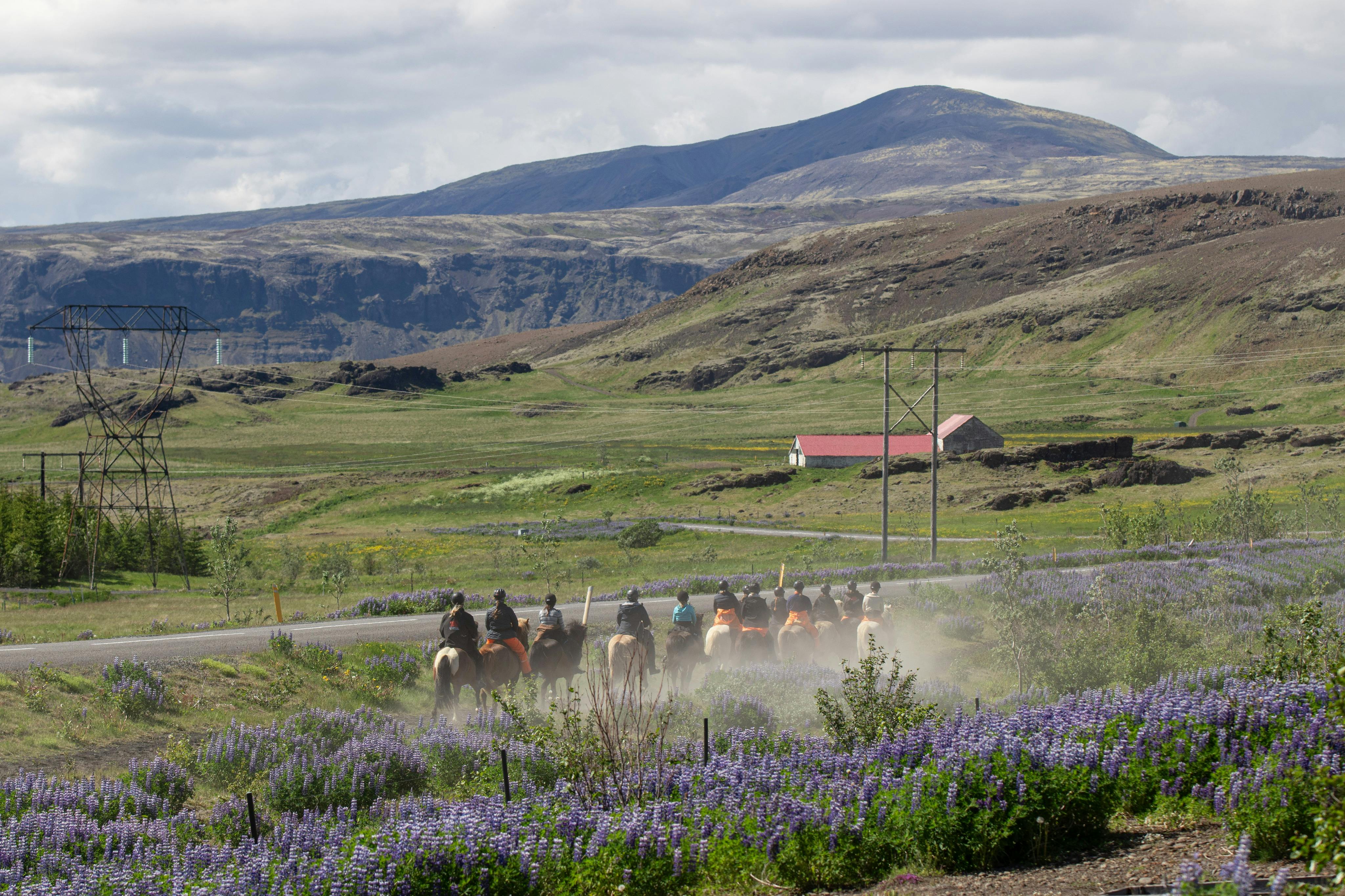 3A - Ängar och berg