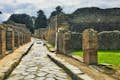 Ruta d'un dia per Nàpols i Pompeia des de Roma