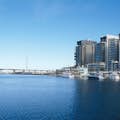 Ports & Docklands Cruise