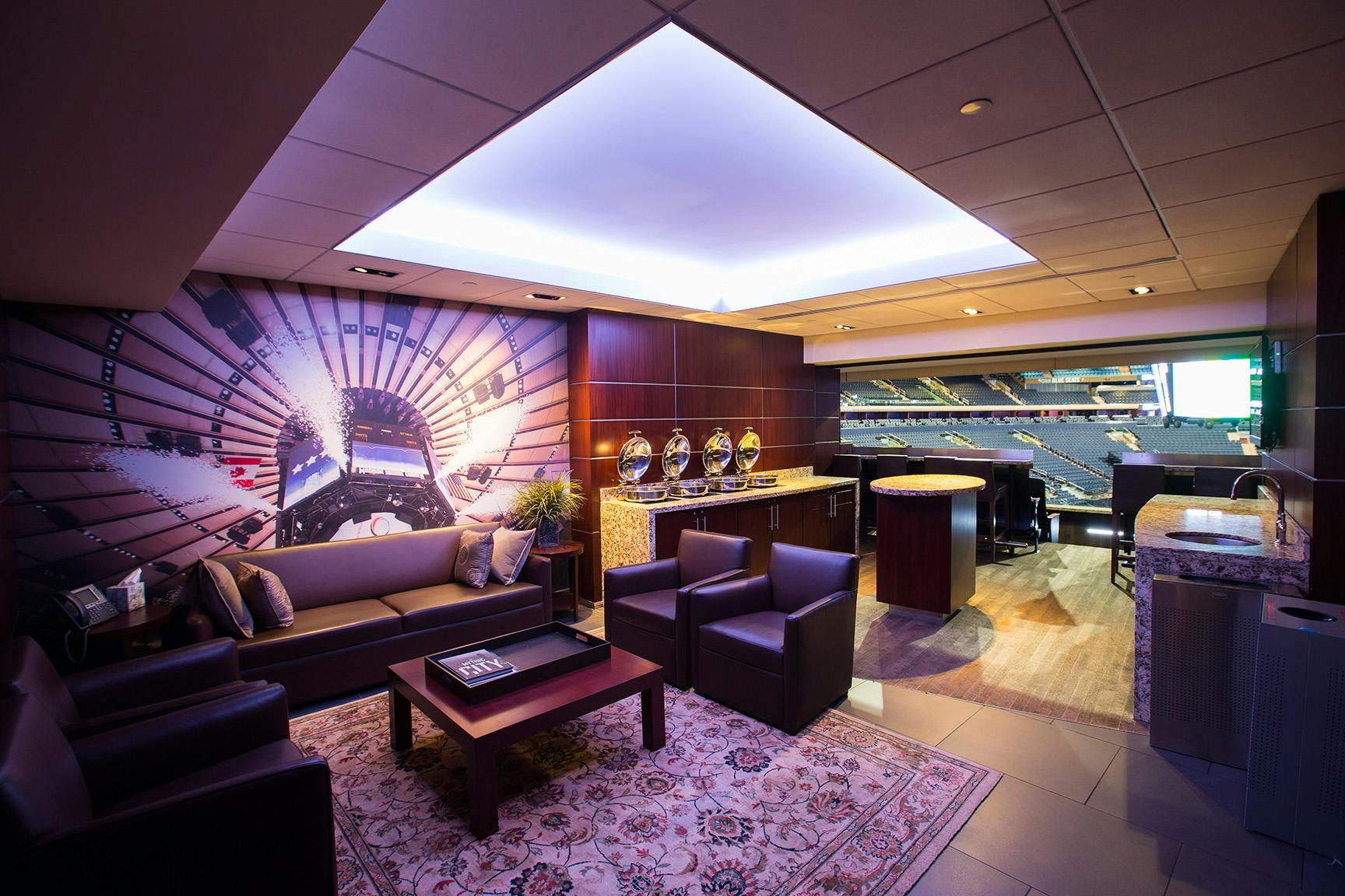 豪华体育场套房，配有皮革座椅、图案地毯、壁画和运动场景。