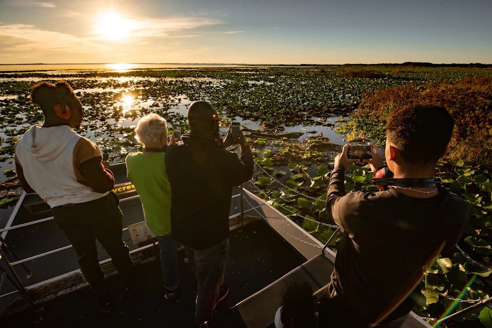 Gator sighting at Sunset