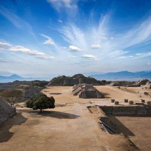 Monte Albán Archaeological Zone: Guided Tour + Transfers
