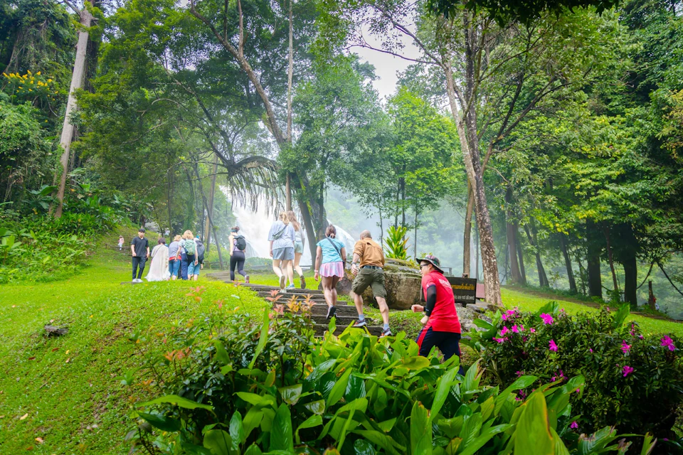 A group of people walking on a path in a lush, green forest with trees and plants, heading towards a waterfall.