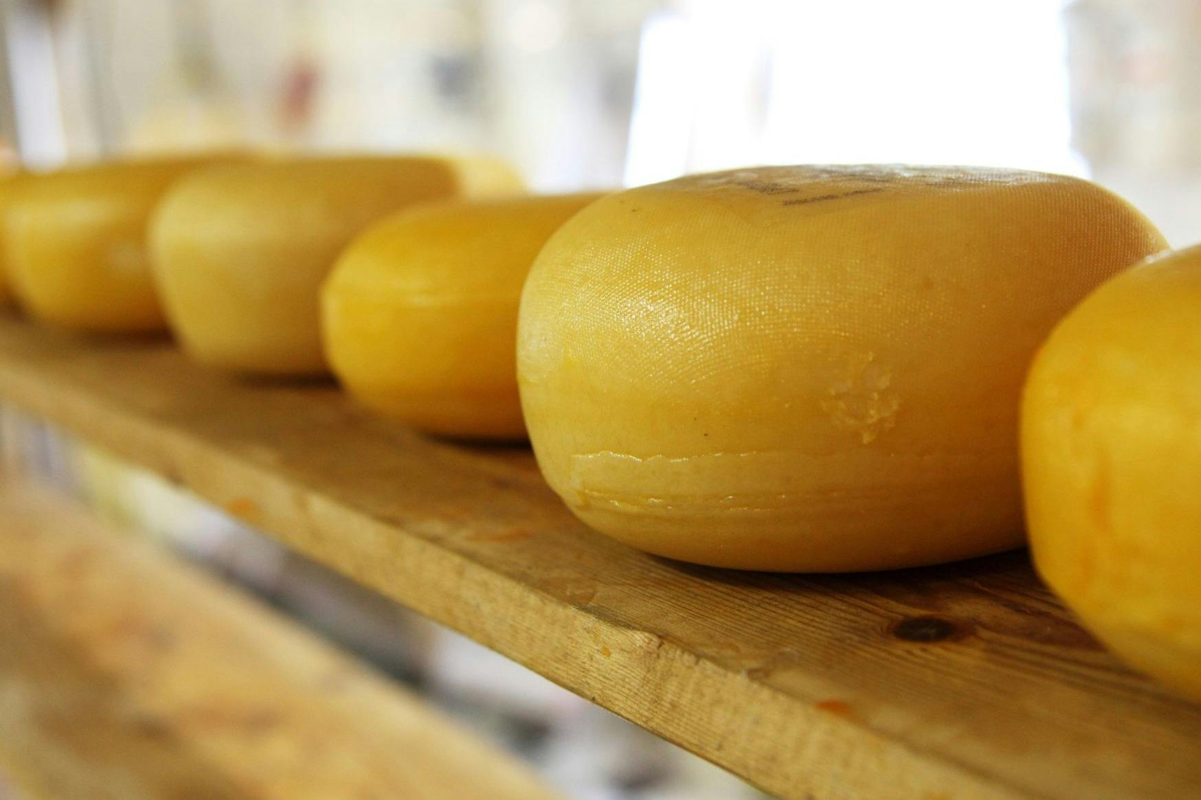 ぼやけた屋内環境で、木製の棚の上に3輪の丸いチーズ。