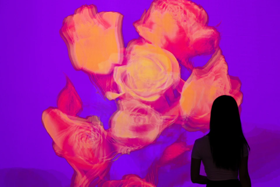 A person silhouetted against a vibrant display of abstract, colorful roses on a purple background.