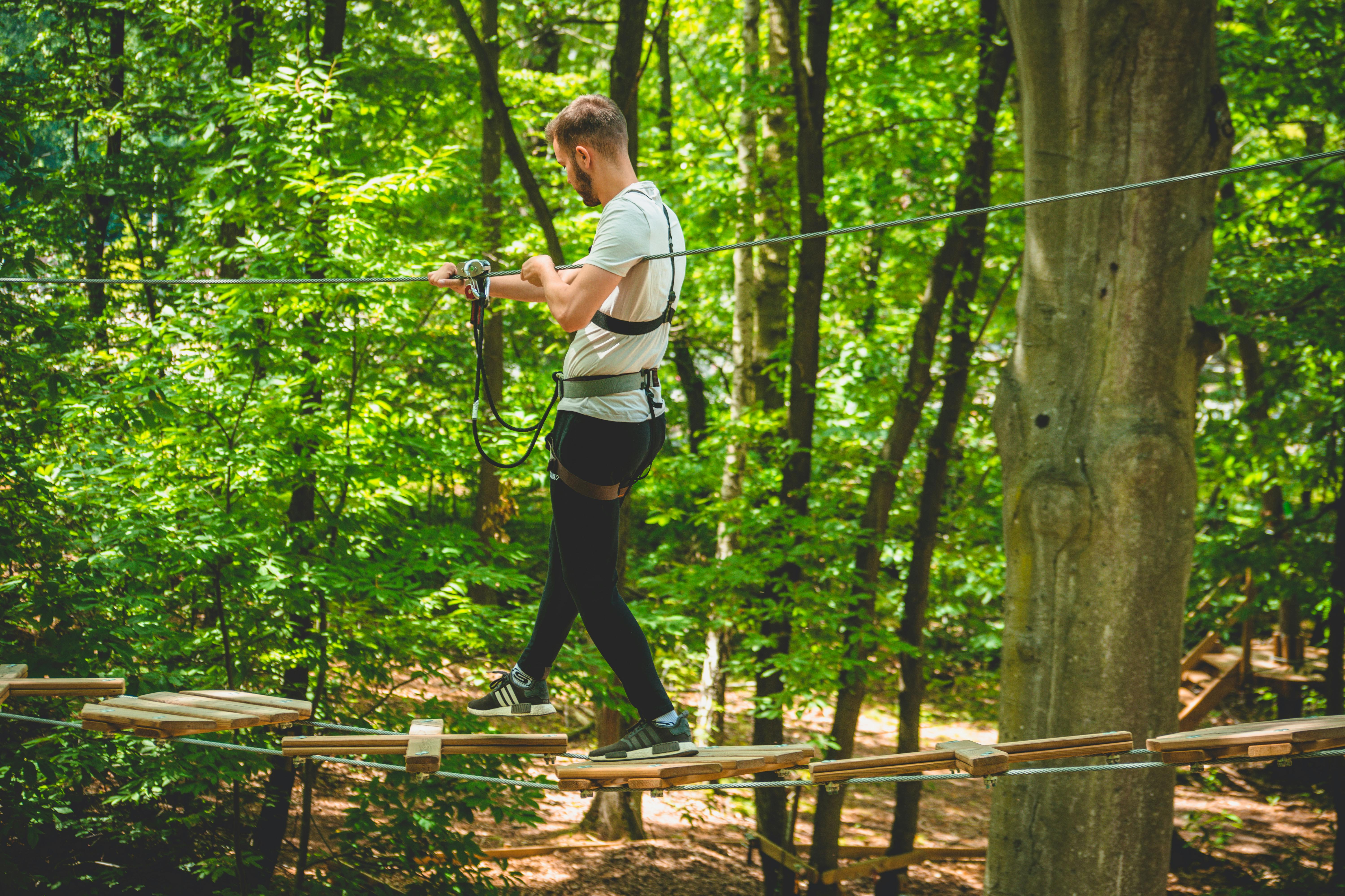 A man wearing a safety harness walks on a rope bridge in a forest with tall, leafy trees.