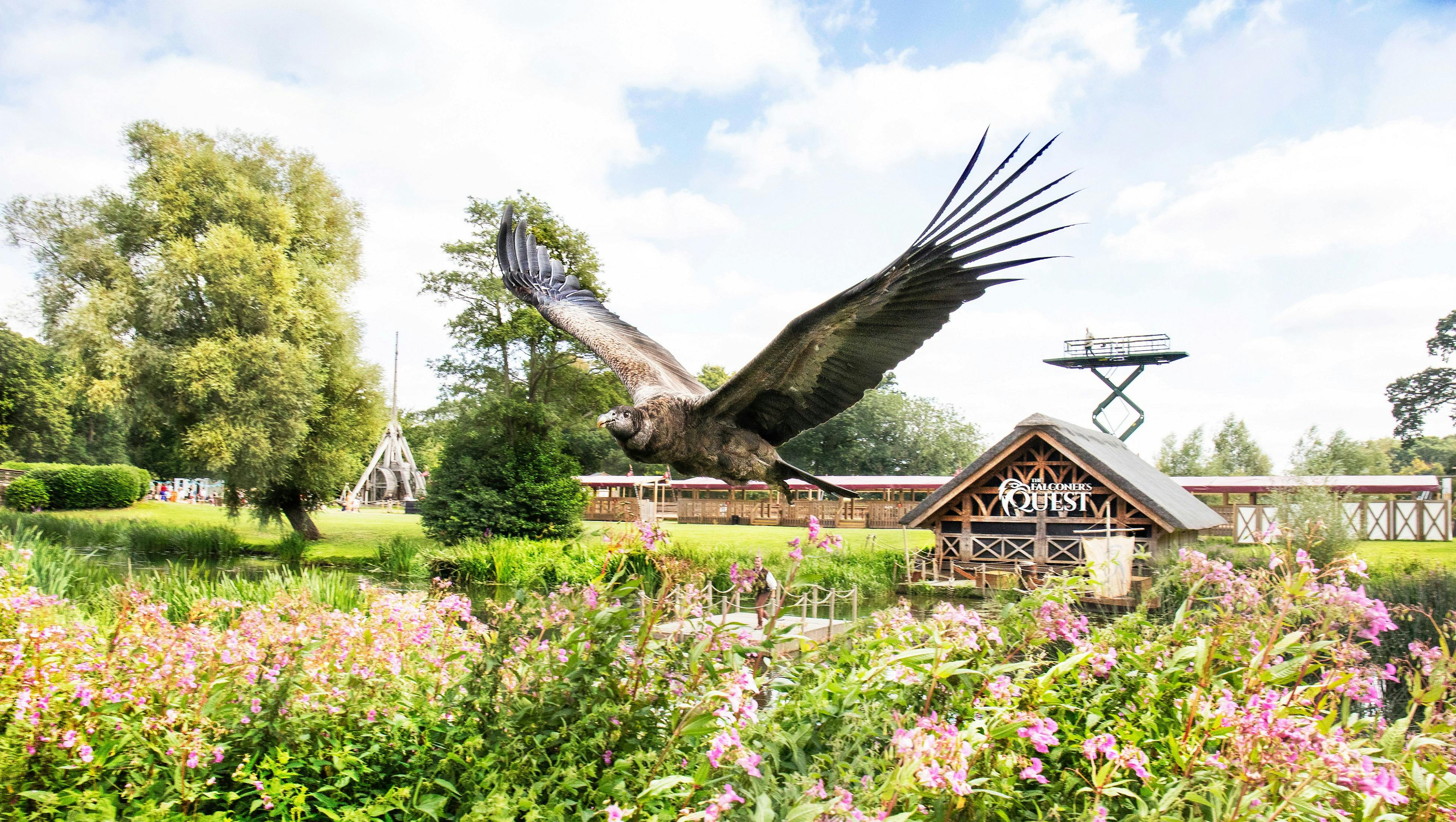 A large bird, wings spread, flying over a garden with pink flowers. Background includes trees and a timber building with "Joust" signage.