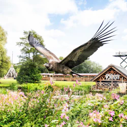 Warwick Castle: Day Trip from London by Rail 4
