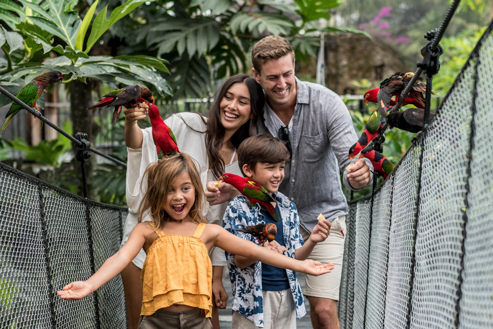 Bali Bird Park: Admission Ticket