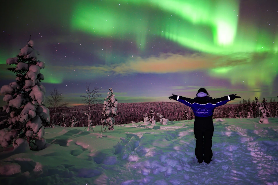 The Northern Lights drive us wild!