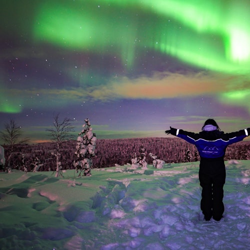 Aurora Boreal Rovaniemi: Excursión por la naturaleza + Cámara profesional