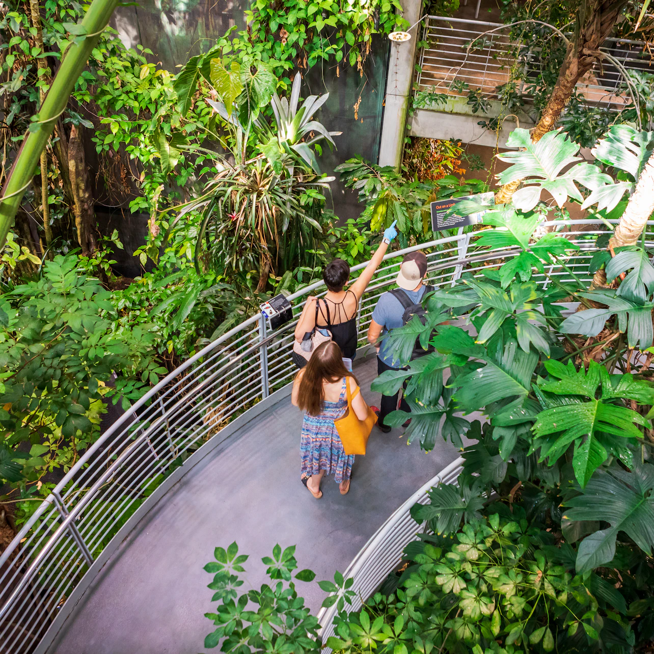 California Academy of Sciences: Entry Ticket in San Francisco β Tiqets