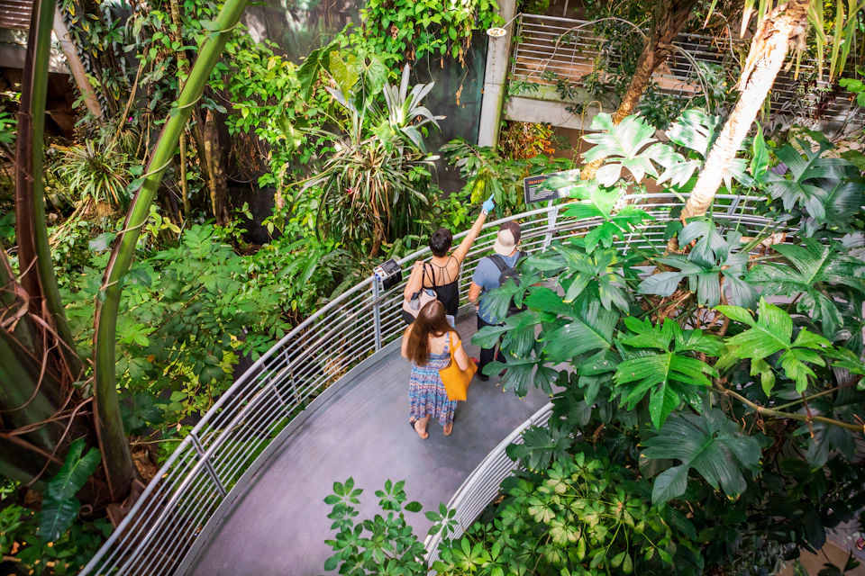 Guests walking through Osher Rainforest.