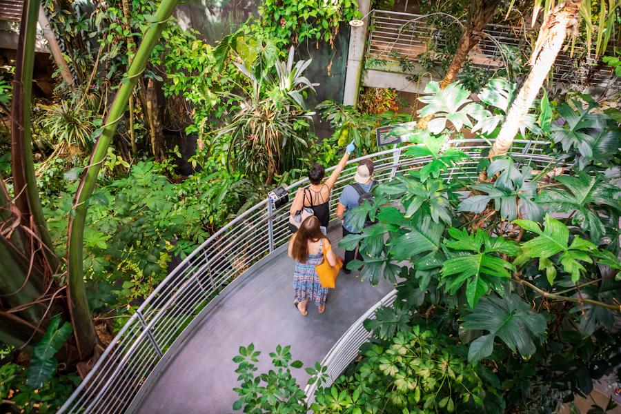 San Francisco California Academy of Sciences Tickets
