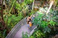 Visitantes caminhando pela floresta tropical Osher.