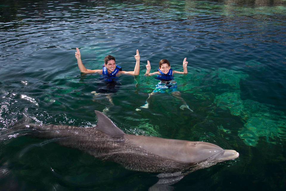 Two people in life jackets are swimming in the water, both raising their arms, with a dolphin swimming in front of them.