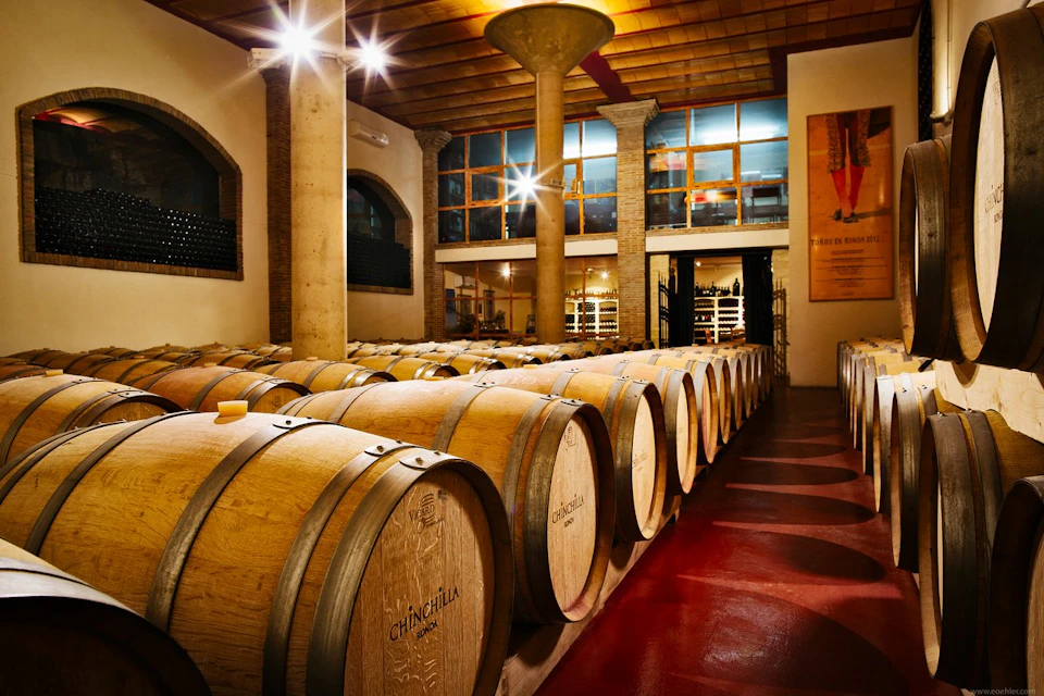 Rows of wooden wine barrels in a dimly lit cellar with arched windows, columns, and a glass-walled area in the background.