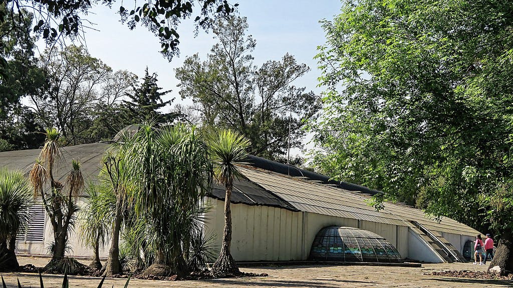 Un edificio con tejado inclinado, rodeado de palmeras y vegetación. Dos personas caminan por el lado derecho del edificio.