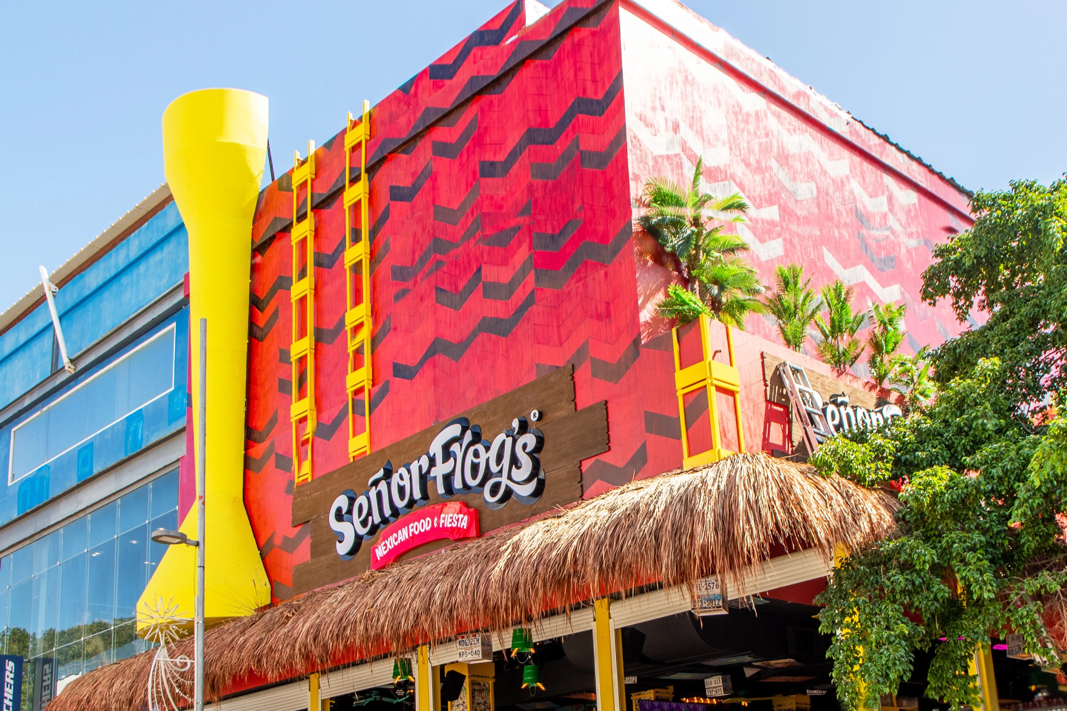 Señor Frog's Playa del Carmen: Frog's Pass