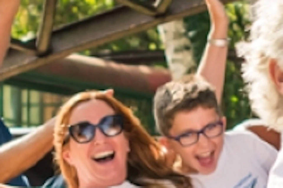 People riding a ladybug-themed rollercoaster in a park, raising their arms and smiling amidst trees and a sunny day.