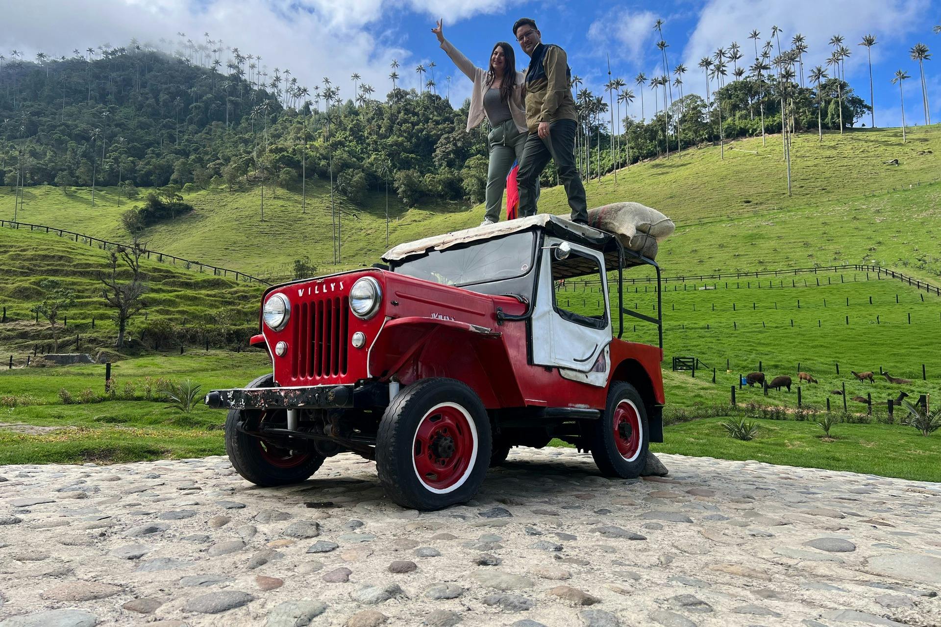 Κοινή περιήγηση στην κοιλάδα Cocora