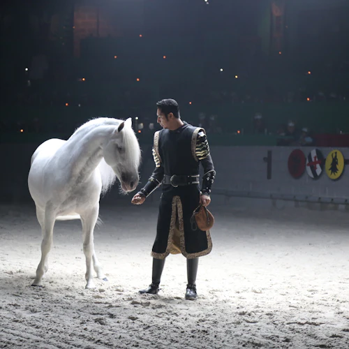 Orlando: Medieval Times Dinner & Tournament Experience - Photo 2