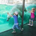Tři malé děti s rukama na skle, jak se lední medvěd potápí pod vodou v zoo Schönbrunn