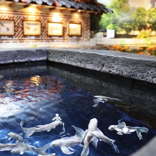 A small pond with white koi fish, surrounded by stone edges. In the background, framed artwork and a mural of trees are visible.