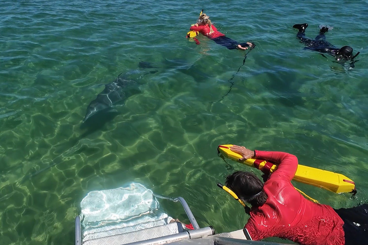 Fantastic encounters.