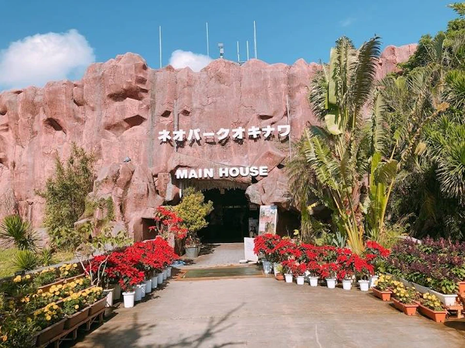 Entrance to a building called 'Main House' with rocky facade, plants, and red flowers in pots lining the pathway.