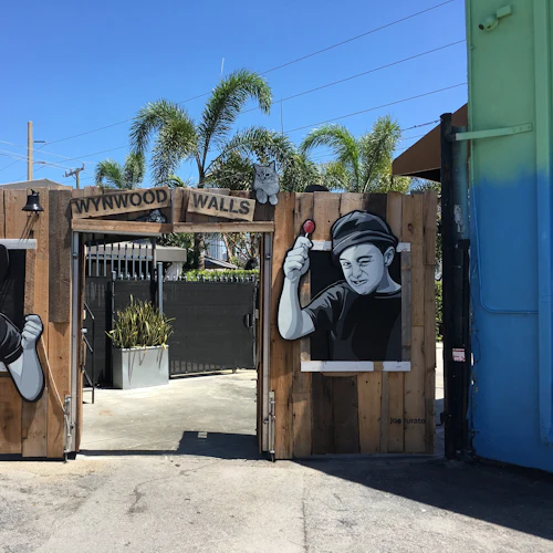 Direct Entry: Wynwood Walls Spray Paint on Canvas Art Class