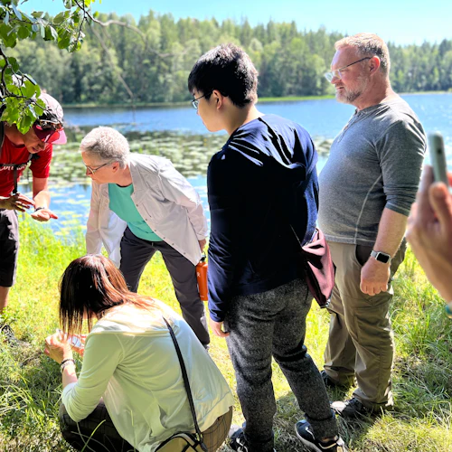 Helsinki: Magical Taiga Forest Hike - Photo 5