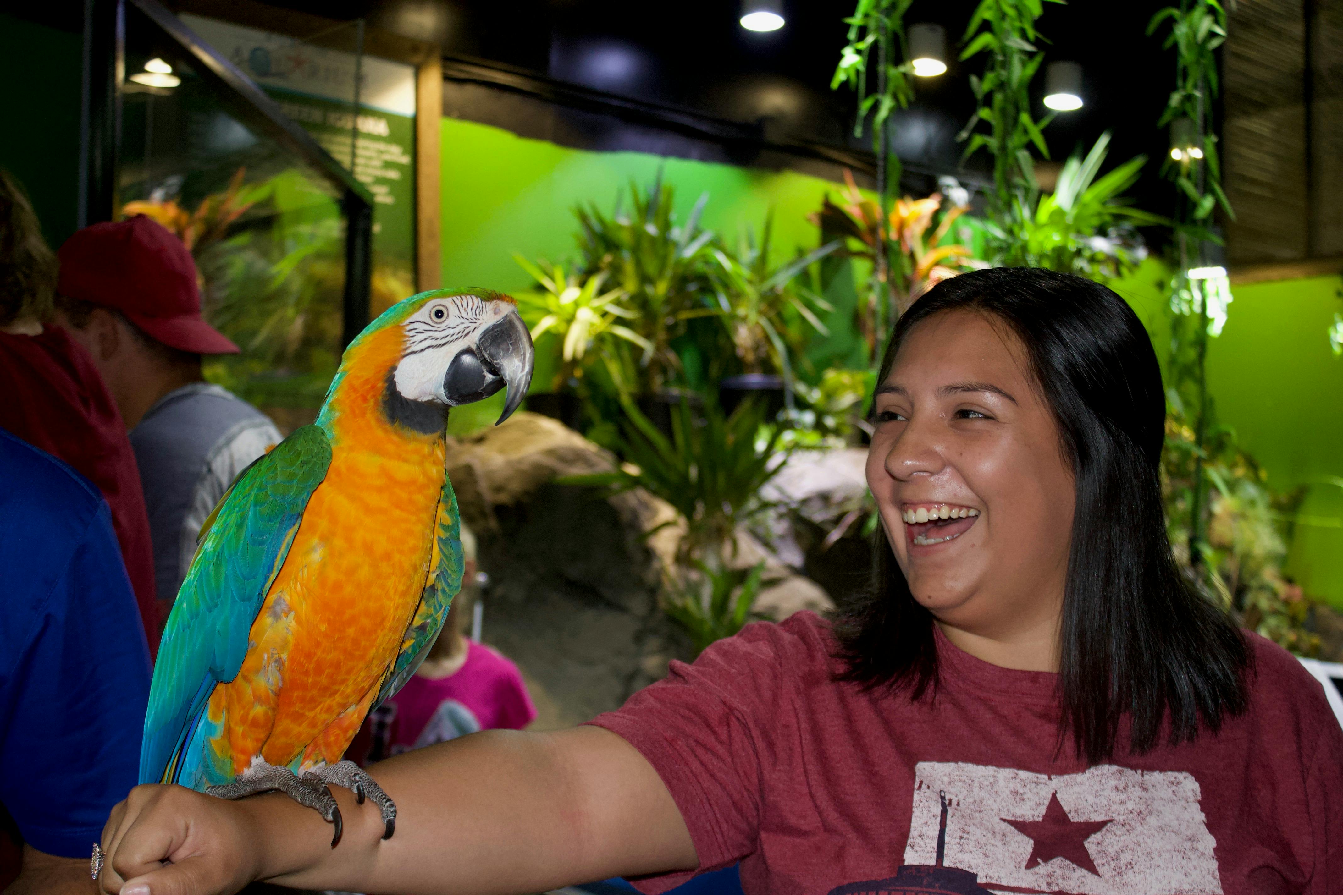 Austin Aquarium Tickets Tiqets