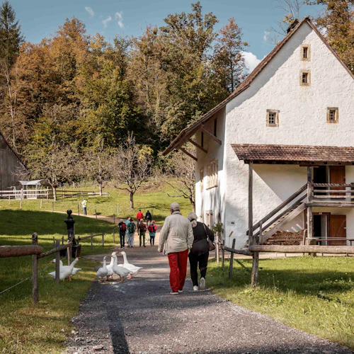 Människor som går på en grusväg nära ett vitt rustikt hus och ladugård, omgivet av grönska och träd, med gäss i förgrunden.