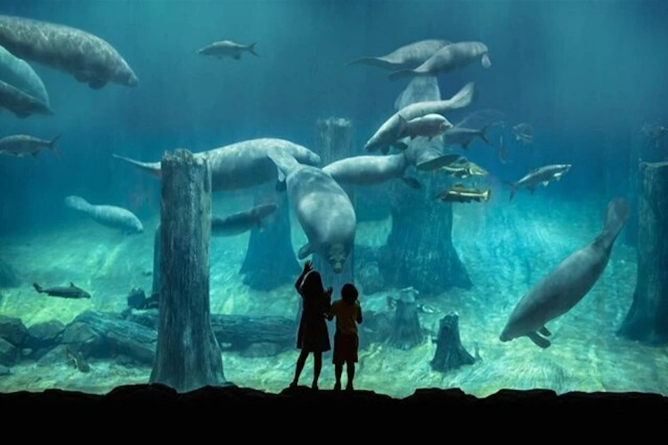 Dubai Mall Aquarium